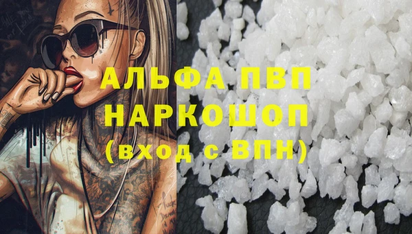 спайс Корсаков