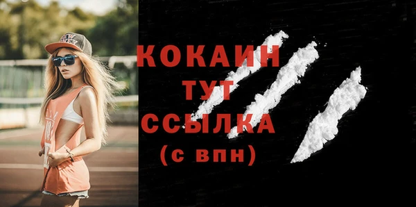 твердый Костерёво