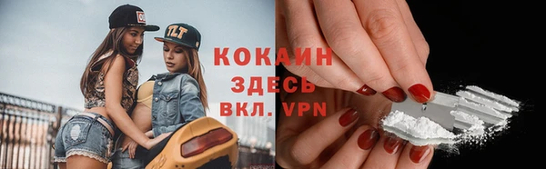 твердый Костерёво