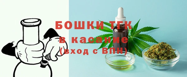 спайс Корсаков
