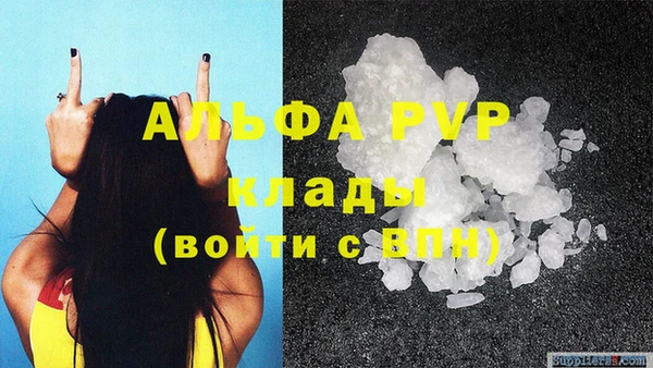 спайс Корсаков