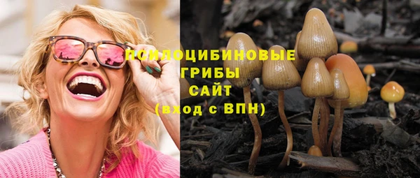 спайс Корсаков