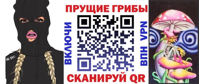 Галлюциногенные грибы GOLDEN TEACHER  магазин    Кола 